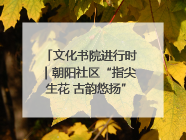 文化书院进行时｜朝阳社区“指尖生花 古韵悠扬”公益课堂开课了