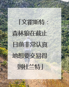 文霍斯特：森林狼在截止日前非常认真地想要交易得到杜兰特