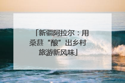 新疆阿拉尔：用桑葚“酿”出乡村旅游新风味