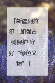 新疆阿拉尔：加强古树保护 守好“绿色文物”