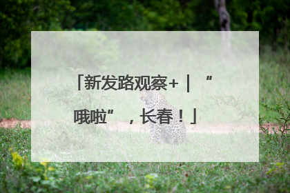 新发路观察+｜“哦啦”，长春！
