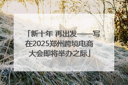 新十年 再出发——写在2025郑州跨境电商大会即将举办之际