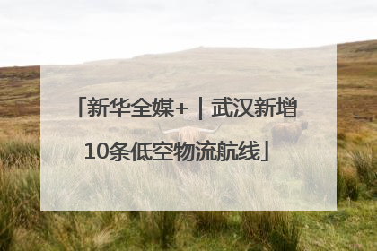新华全媒+｜武汉新增10条低空物流航线