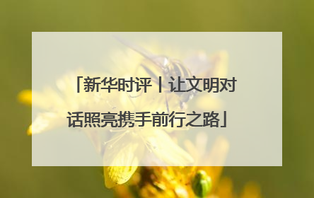 新华时评丨让文明对话照亮携手前行之路