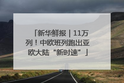 新华鲜报｜11万列！中欧班列跑出亚欧大陆“新时速”