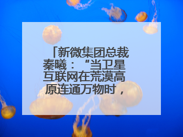 新微集团总裁秦曦：“当卫星互联网在荒漠高原连通万物时，成都的创新故事才真正开始”