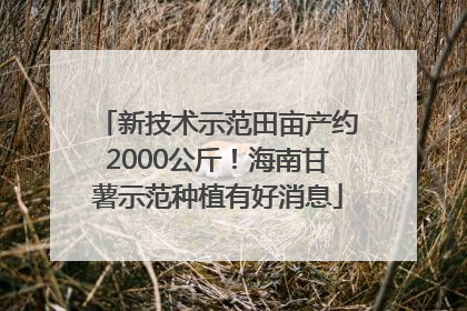 新技术示范田亩产约2000公斤！海南甘薯示范种植有好消息