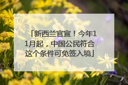 新西兰官宣！今年11月起，中国公民符合这个条件可免签入境