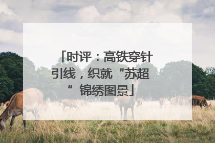 时评：高铁穿针引线，织就“苏超”锦绣图景