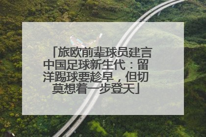 旅欧前辈球员建言中国足球新生代：留洋踢球要趁早，但切莫想着一步登天