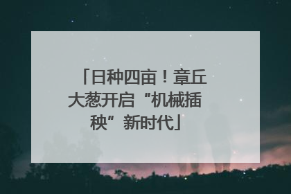 日种四亩！章丘大葱开启“机械插秧”新时代