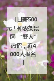 日薪500元！神农架景区 “野人” 热招，近4000人报名