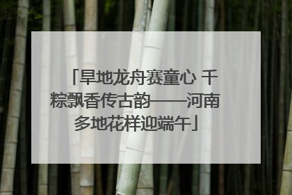 旱地龙舟赛童心 千粽飘香传古韵——河南多地花样迎端午