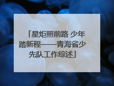 星炬照前路 少年踏新程——青海省少先队工作综述