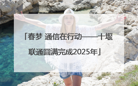 春梦 通信在行动——十堰联通圆满完成2025年
