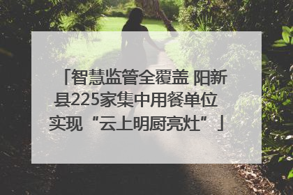 智慧监管全覆盖 阳新县225家集中用餐单位实现“云上明厨亮灶”