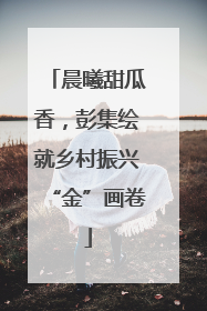 晨曦甜瓜香，彭集绘就乡村振兴“金”画卷