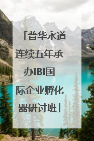普华永道连续五年承办IBI国际企业孵化器研讨班
