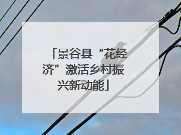 景谷县“花经济”激活乡村振兴新动能