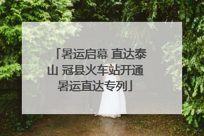 暑运启幕 直达泰山 冠县火车站开通暑运直达专列