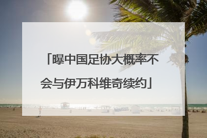 曝中国足协大概率不会与伊万科维奇续约