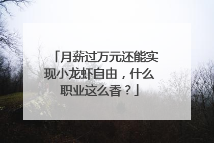 月薪过万元还能实现小龙虾自由，什么职业这么香？