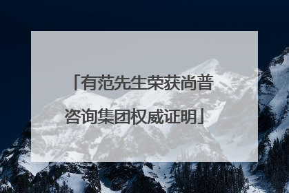 有范先生荣获尚普咨询集团权威证明