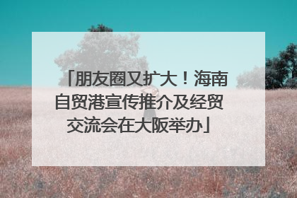 朋友圈又扩大！海南自贸港宣传推介及经贸交流会在大阪举办