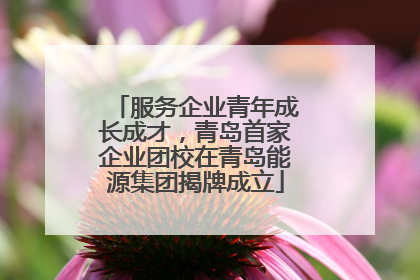 服务企业青年成长成才,青岛首家企业团校在青岛能源集团揭牌成立