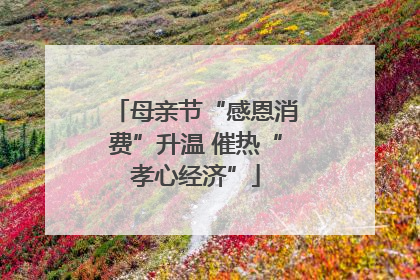 母亲节“感恩消费”升温 催热“孝心经济”