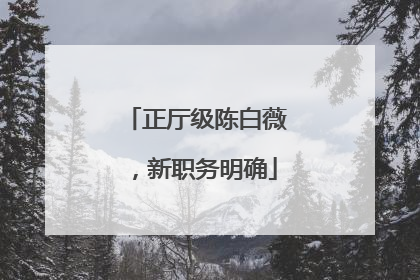 正厅级陈白薇，新职务明确