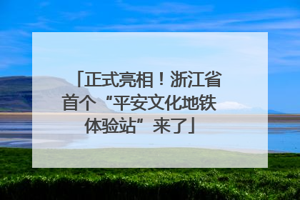 正式亮相！浙江省首个“平安文化地铁体验站”来了