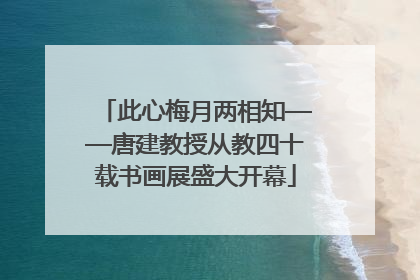 此心梅月两相知——唐建教授从教四十载书画展盛大开幕