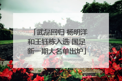 武磊回归 杨明洋和王钰栋入选 国足新一期大名单出炉