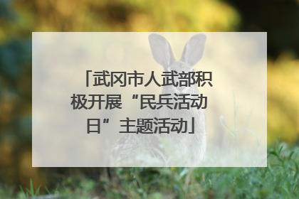 武冈市人武部积极开展“民兵活动日”主题活动