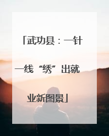 武功县：一针一线“绣”出就业新图景