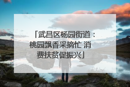 武昌区杨园街道：桃园飘香采摘忙 消费扶贫促振兴