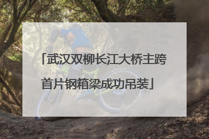 武汉双柳长江大桥主跨首片钢箱梁成功吊装