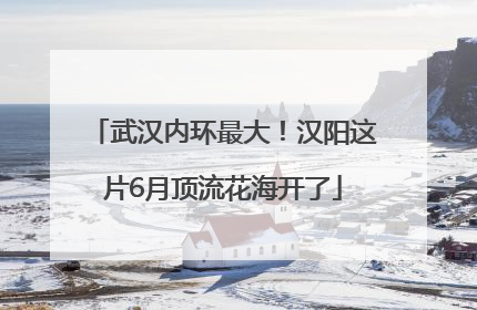 武汉内环最大！汉阳这片6月顶流花海开了
