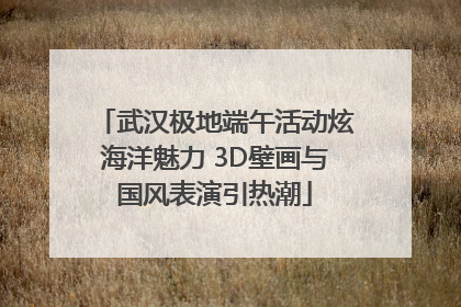 武汉极地端午活动炫海洋魅力 3D壁画与国风表演引热潮
