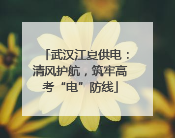 武汉江夏供电：清风护航，筑牢高考“电”防线