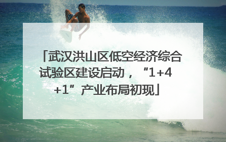 武汉洪山区低空经济综合试验区建设启动，“1+4+1”产业布局初现