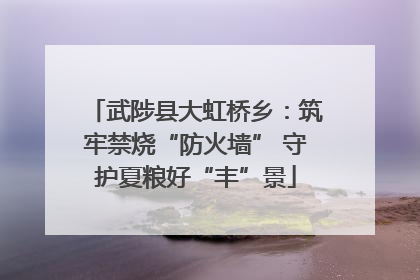 武陟县大虹桥乡：筑牢禁烧“防火墙” 守护夏粮好“丰”景