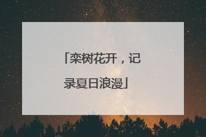 栾树花开，记录夏日浪漫