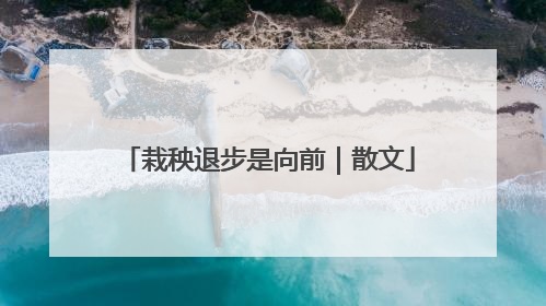 栽秧退步是向前｜散文