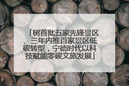 树首批五家先锋景区、三年内推百家景区低碳转型，宁德时代以科技赋能零碳文旅发展