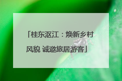 桂东沤江：焕新乡村风貌 诚邀旅居游客