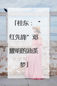 桂东：“红先锋”邓耀明的油茶梦