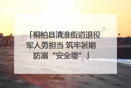桐柏县清淮街道退役军人勇担当 筑牢暑期防溺“安全堤”