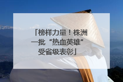 榜样力量！株洲一批“热血英雄”受省级表彰